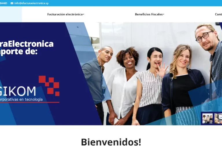 efactura electrónicaProyectos en Diseño de Páginas Web